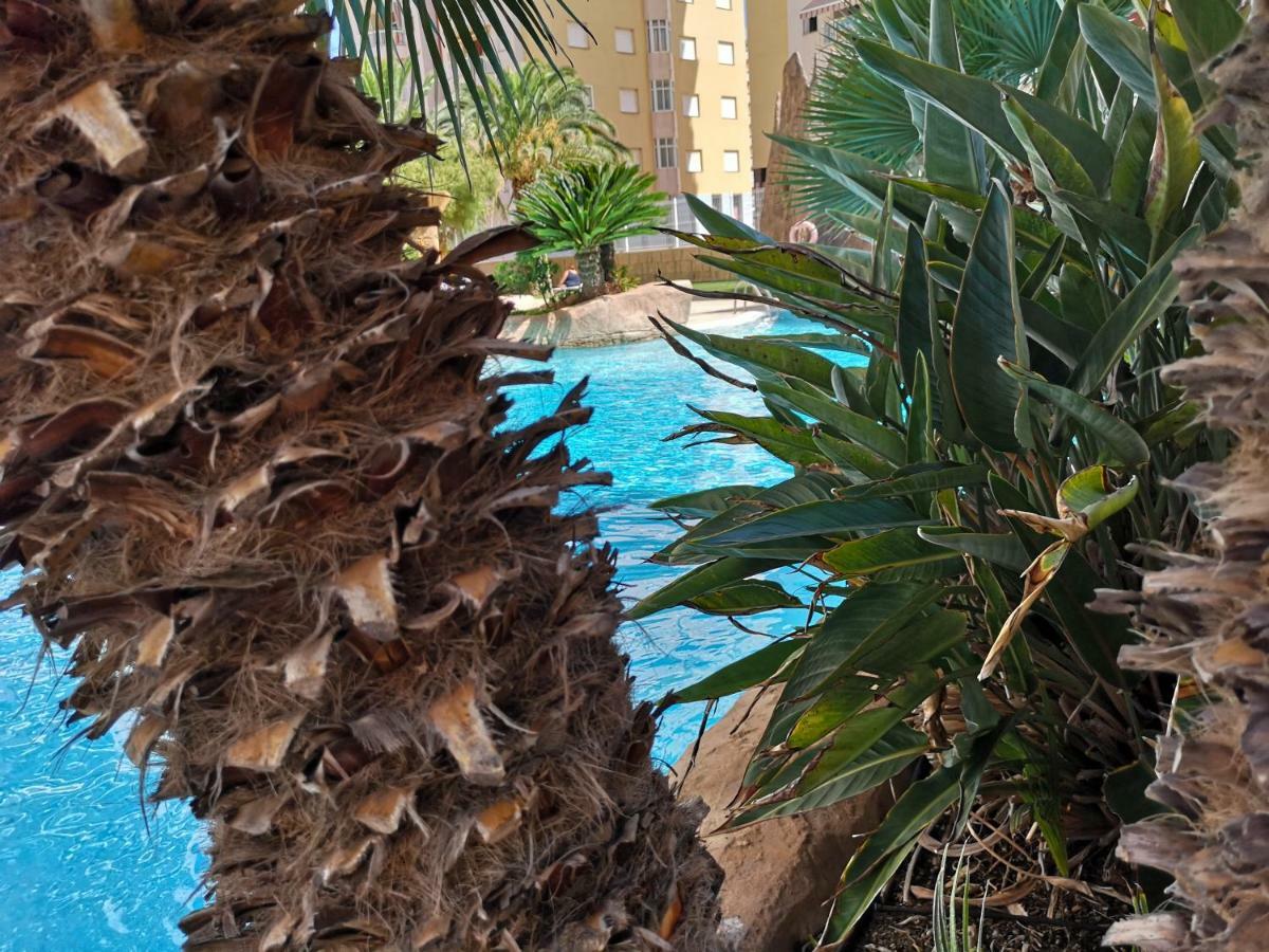"El Remanso" Lägenhet La Manga del Mar Menor Exteriör bild